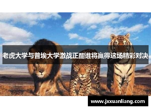 老虎大学与普埃大学激战正酣谁将赢得这场精彩对决