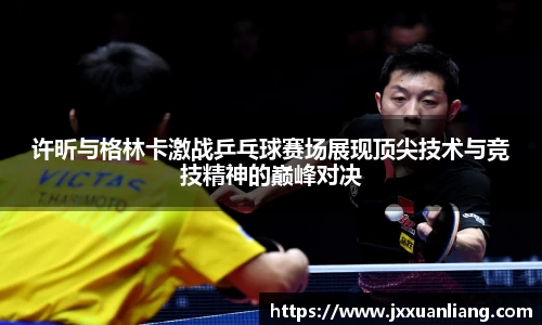 好博许昕与格林卡激战乒乓球赛场展现顶尖技术与竞技精神的巅峰对决